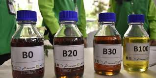 Malaysia merupakan antara negara pengeluar dan eksport hasil minyak sawit yang terbesar di dunia. Inspirasi Energi Benarkah Biodiesel Ramah Lingkungan Halaman All Kompas Com