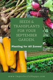 Maybe you would like to learn more about one of these? What To Plant In September In Your Vegetable Garden Fall Garden Vegetables Organic Vegetable Garden Winter Vegetables Gardening