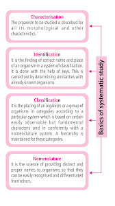 taxonomy chart drgp biology