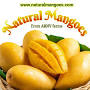 Natural Mangoes Chennai from www.justdial.com