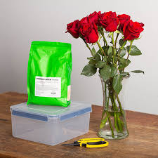 Find expert advice along with how to videos and articles, including instructions on how to make, cook, grow, or do almost anything. Silica Gel Flower Drying Preserving Crystals 1kg