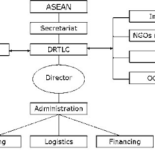 Proposed Organization Chart Of Drtlc Legend Drtlc Disaster