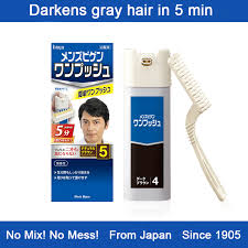 Japan Mens Begin One Push Hair Color Cream Hair Dye