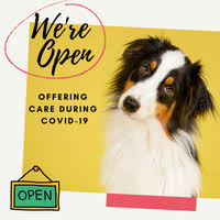 1,272 likes · 9 talking about this · 986 were here. Marina Bay Animal Hospital Veterinarian In South Shore Harbour And Marina