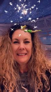 Where to find cute Disney filters for Walt Disney World?