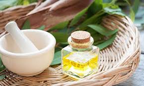 Para Que Sirve El Aceite De Eucalipto Vamos A Descubrir Las Diferentes Propiedad Aceite De Eucalipto Aceites Esenciales Para La Tos Aceite Esencial Eucalipto