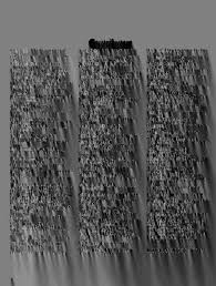 Image result for Cassipourea ndando