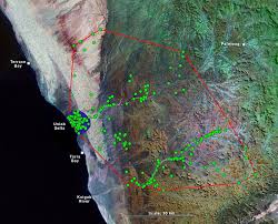 The skeleton coast is the coastal region bordering the atlantic ocean to the west and kaokoveld and damaraland to the east. Desert Lions Spotted Going To The Beach To Prey On Marine Life Earthly Mission