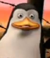The bronx is up gloria: Kowalski Unanything Wiki Fandom