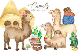 Camel journey landscape orange ride silhouette square sun sunset train travel photoshop chiaralily. Camel Watercolor Clipart Desert Animals Flowering Cacti Camel By Evgeniia Grebneva Painting Thehungryjpeg Com