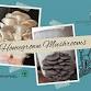 Introduction to Home Mushroom Cultivation