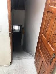 Kahraman Kedi Merdivenlerden Dusmek Uzere Olan Bebegi Kurtardi Son Dakika Haberleri