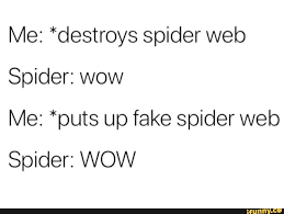 Me Destroys Spider Web Spider Wow Me Puts Up Fake Spider Web Spider Wow Fake Spider Spider Web Funny Animal Memes