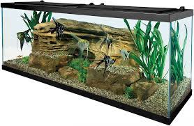 If your fish tank is located in a very warm area, you may need a chiller to keep the water temperature at the right level. Amazon Com Tetra 55 Gallon Aquarium Kit With Fish Tank Fish Net Fish Food Filter Heater And Water Conditioners Pet Supplies