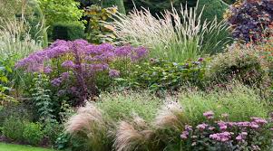 Plantes faciles à vivre, les vivaces durent longtemps au jardin avec un minimum de soins. La Planification De Votre Amenagement Avec Vivaces Botanix