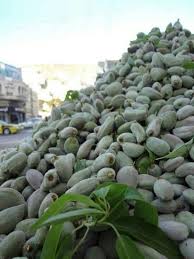 Almonds Of Palestine Fruits Et Legumes Fruits Fruit