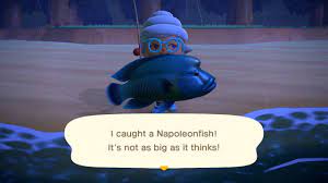 › animal crossing new horizons napoleon fish model. Animal Crossing New Horizons How To Catch Napoleonfish
