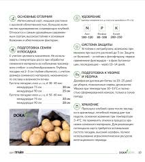 Описание Картофеля Прайм