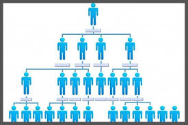 What Are The Types Of Organizational Structure Examples Of