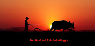 Kumpulan cerita sekolah minggu yang menarik, download renungan anak setiap minggu, khotbah sekolah minggu, renungan anak sekolah minggu, renungan kristen anak 2018, renungan untuk sekolah minggu Seekor Kerbau Dan Penolong Yang Baik Cerita Anak Katolik