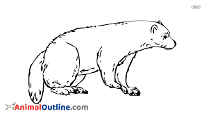 Continue drawing the mask of wolverine. Trends For Simple Wolverine Animal Drawing Images