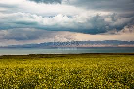 #9 gambar mewarna pemandangan di tepi sungai. Rumput Di Pinggir Tasik Qinghai Gambar Unduh Gratis Imej 501270978 Format Jpg My Lovepik Com