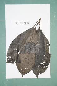 Image result for Mitragyna stipulosa