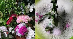 Cari pot bunga plastik di indonesia, distributor pot bunga plastik, supplier, dealer, agen, importir, kami mempunyai database. Jimat Tak Payah Beli Bunga Baru Ini Cara Basuh Bunga Hiasan Berdebu Macam Baru Beli Yoy Network