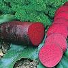 Ubi bit merah atau dalam bahasa inggeris; 1