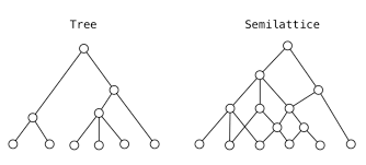 The higher you climb the more you notice a fantastic world that who lives in your backyard trees? Mathematical Theory Of Classification Ieko