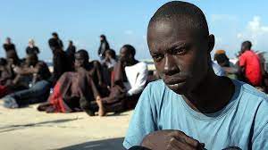 | meaning, pronunciation, translations and examples. Un Documents Rise In Congolese Human Rights Abuses