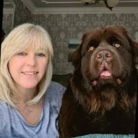 Siân Gregory Email & Phone Number