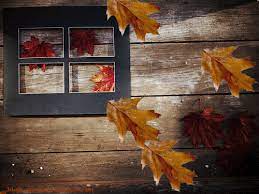 Free Animated Gif Nature Pictures 3d Hd Wallpapers Download Autumn Tree Leaf Fall Animated Gifs Gif Nature Autumn Leaves Autumn Gif