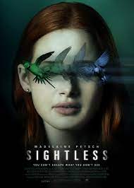 As you know the netflix library is quite large and remarkable so we have featured some of the best thrillers on netflix for you which carry relentless intensity and a willingness to look at. Sightless 2020 Imdb