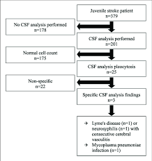 study flow chart csf indicates cerebrospinal fluid