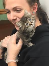 Donate to Greenhill Humane Society