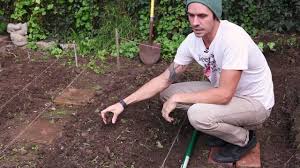 Now is a great time to prepare for a successful harvest; How To Start And Grow A Diy Organic Garden At Home Keep A Breast Non Toxic Revolution Youtube