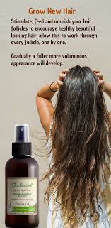 Stimulate Feed And Nourish Your Hair Follicles Hair Follicle Hair Treatment Hair Help