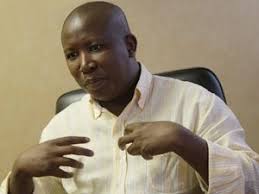 The eff leader's tantrum came the day after south africa was. Julius Malema President Eff Miningmx