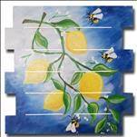 Open Class - Lemons on the Vine