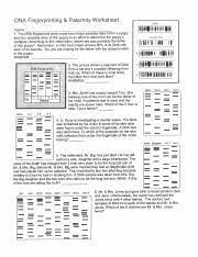 01.05.2018 · before talking about dna fingerprinting and paternity worksheet answer key, you should are aware that schooling is actually our step to a much better the next day. Dna Fingerprinting And Paternity Worksheet Pdf Dna Fingerprinting Paternity Worksheet Name 1 The Dna Fingerprints Were Made From Blood Samples Taken Course Hero