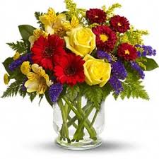 Hours may change under current circumstances All About Flowers Gifts Florists 102 W Main Edna Tx Phone Number Yelp