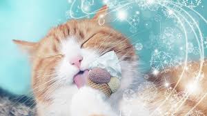 They freeze big blocks of ice with tasty. Can Cats Eat Ice Cream A Guide By The Happy Cat Site