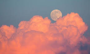 Thevintageloserforever In 2020 Aesthetic Desktop Wallpaper Sky Aesthetic Clouds