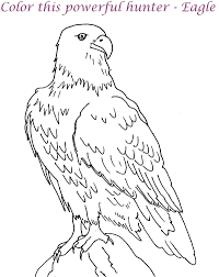 There are different types of birds such as swans, penguins, flamingos, cuckoos, owls, eagle, emu, ostrich, goose, peacock, hummingbirds, doves, duck, crows, parrots and. Eagle Printable Coloring Page For Kids