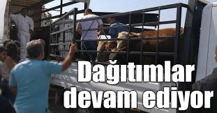 Kars Ta Genc Ciftci Hayvanlari Dagitimi Devam Ediyor