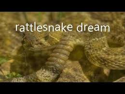 A Dream Is A Succession Of Images Ideas Emotions And Sensations That Usually Occur Involuntarily In The Mind During Cert Dream Meanings Dream Interpretation