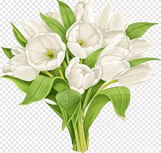 We did not find results for: Bunga Tulip Bunga Bunga Cantik Putih Bunga Png Pngegg
