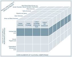 Core Competencies For Counselors And Other Clinical Staff