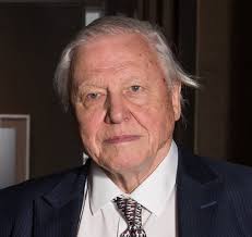 Wise man needed to influence global change quickly